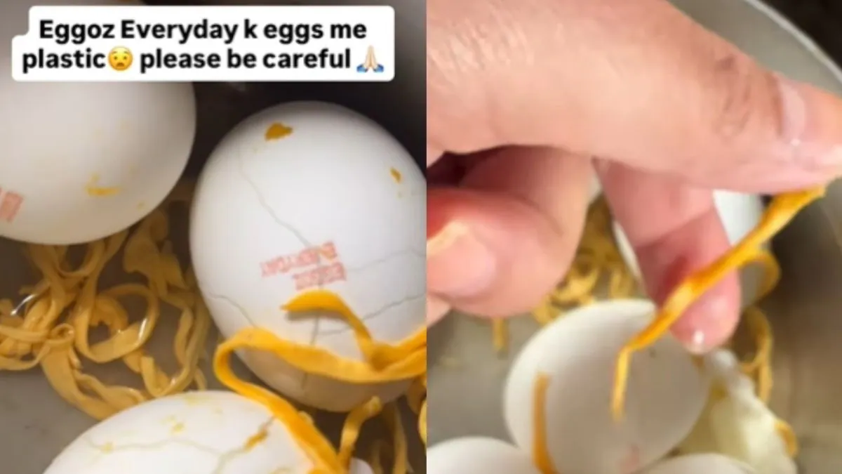 Zepto egg order sparks plastic scare, Eggoz rejects claim, cites food safety norms
