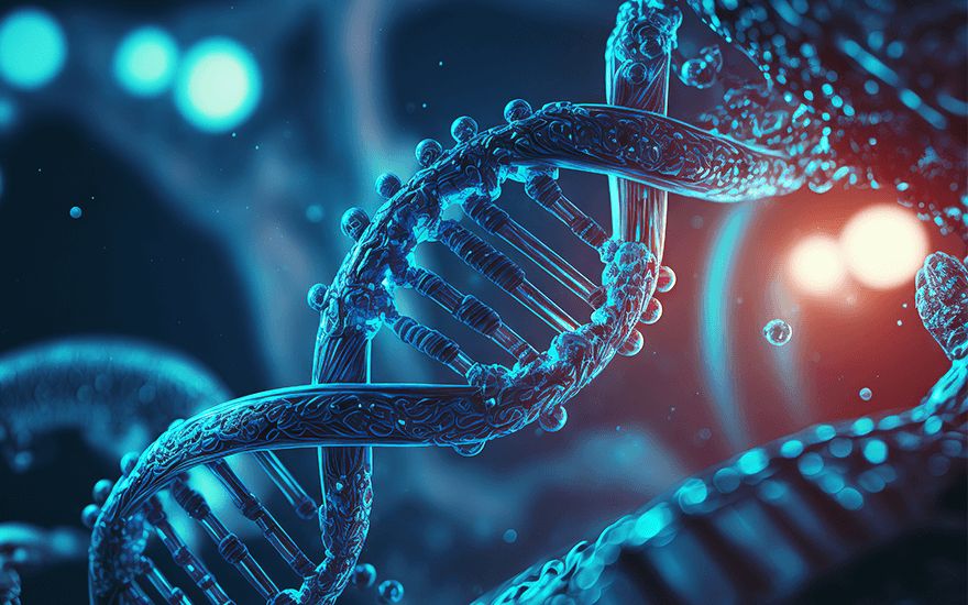 Study suggests 50 per cent of one’s life span could be heritable