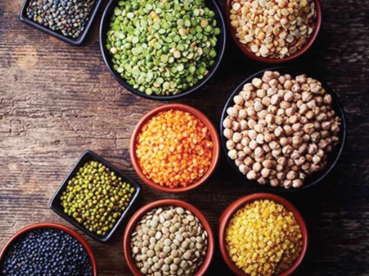 Food to consume for people with obesity and diabetes