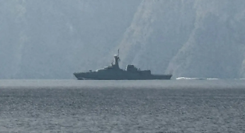 Half of Ships Attacked in Strait of Hormuz flew US, EU, Gulf flags