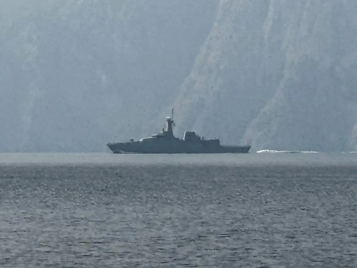 Half of Ships Attacked in Strait of Hormuz flew US, EU, Gulf flags