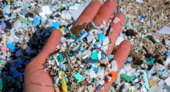 The Invisible Plastic Crisis: Why Microplastics Are Becoming a Global Health Issue