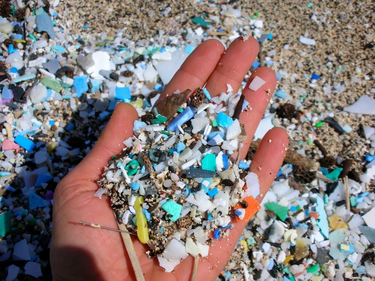 The Invisible Plastic Crisis: Why Microplastics Are Becoming a Global Health Issue
