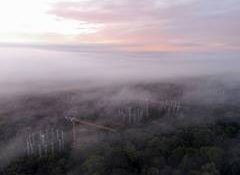 New data reveals one of the smallest ozone holes in decades: Study