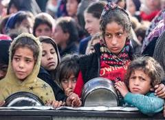 UAE delivers 40 tonnes of medical supplies, four ambulances to health sector in Gaza Strip