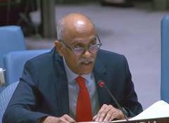 UNSC must be a living instrument, not a fossil: India renews call for reforms, expansion of Security Council