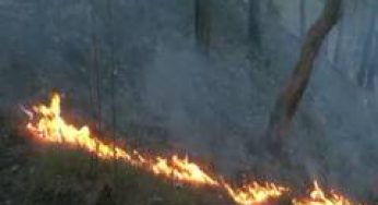 Massive fire breaks out near Shimla's Boileauganj mental hospital; 1,000 sq ft area affected