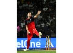 Josh Hazlewood: 'Hoff' never misses in a T20 final, will his undefeated run continue?