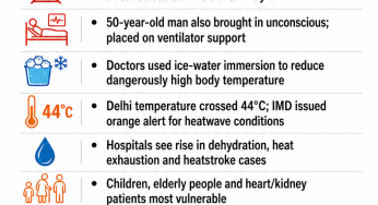 Delhi heatwave triggers heatstroke alarm, power demand surge