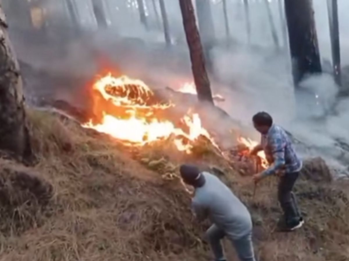 Massive forest fire erupts at multiple locations in Rajouri