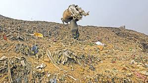 Delhi biomining hits four-year peak, waste challenge remains