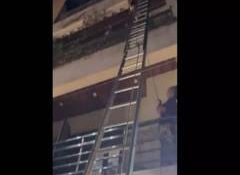 Uttar Pradesh: Three dogs killed in Ghaziabad Apartment fire, several rescued