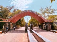 MP: Barkatullah University to be renamed as Vagdevi Bhojpal University; Varsity's executive council approves proposal