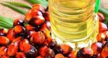 Consumer Affairs Ministry standardises edible oil pack sizes to improve price transparency