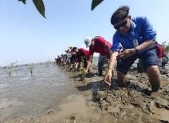 Deepak Group Goes Beyond Green with hands-On Mangrove Restoration