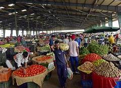 Experts warn of further pressure as India's retail inflation rises to 3.93 per cent in May