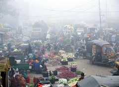 Inflation seen at 5% in FY27, 50-75 bps rate hikes likely as food and fuel risks build: Report