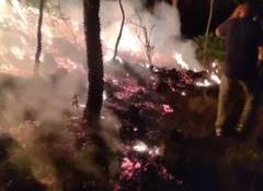 J-K: Massive fire breaks out in Katehda forest area of Rajouri district