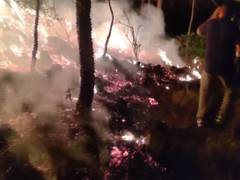 J-K: Massive fire breaks out in Katehda forest area of Rajouri district