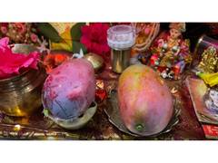 World's costliest 'Miyazaki' mango offered to Lord Ram at Ayodhya's Ram Mandir