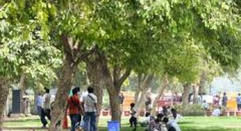 India restores 21.76 million hectares of deforested land, nears 84 per cent of Bonn Challenge target