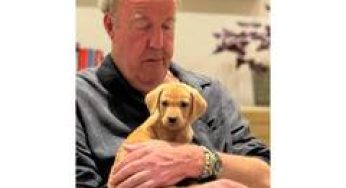 'Top Gear' star Jeremy Clarkson diagnosed with cancer