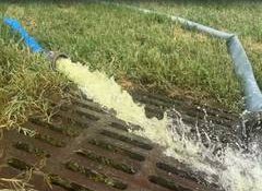 US National Park Service launches cleanup of Lincoln Memorial Reflecting Pool after algae outbreak