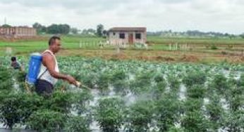 Weak start to monsoon seen clouding Kharif season outlook: Report
