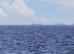 UN agency says major plan underway to evacuate 11,000 seafarers through Strait of Hormuz