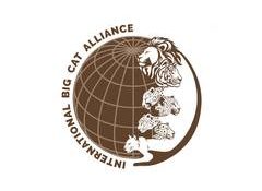 Bangladesh joins India-led International Big Cat Alliance