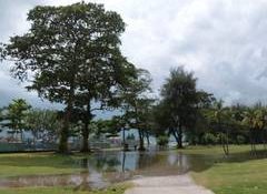 Singapore to begin preparatory works for 'Long Island' coastal protection project by yearend