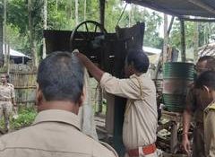 Assam launches statewide crackdown on illegal sawmills