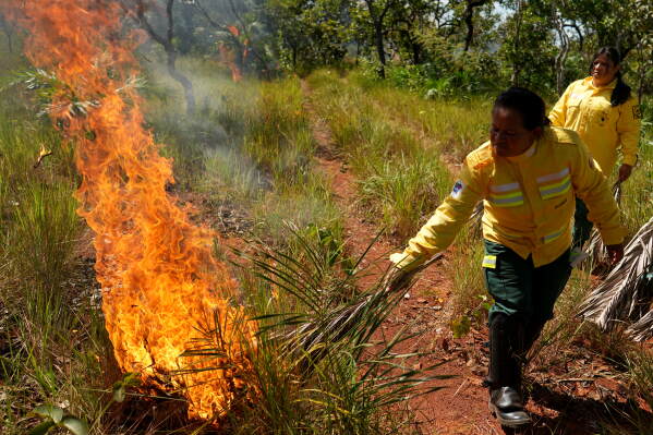 Brazil’s indigenous communities use controlled burns to prevent wildfires