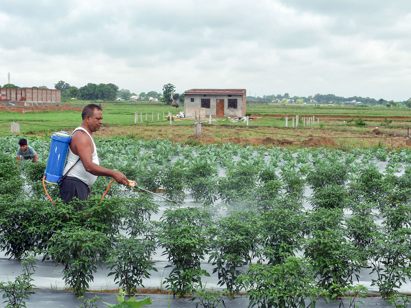 Weak monsoon start clouds Kharif outlook