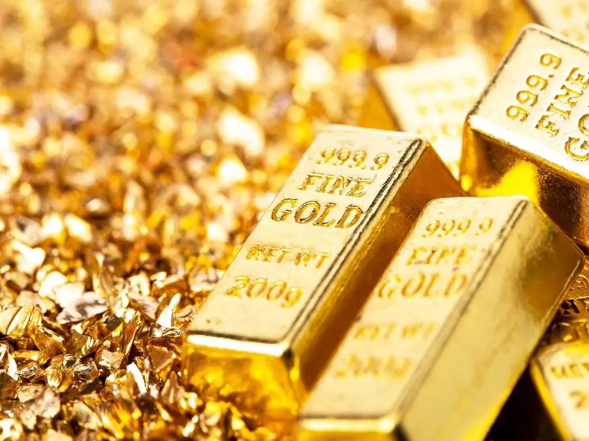 Indian gold prices rise 4.1% in May: World Gold Council