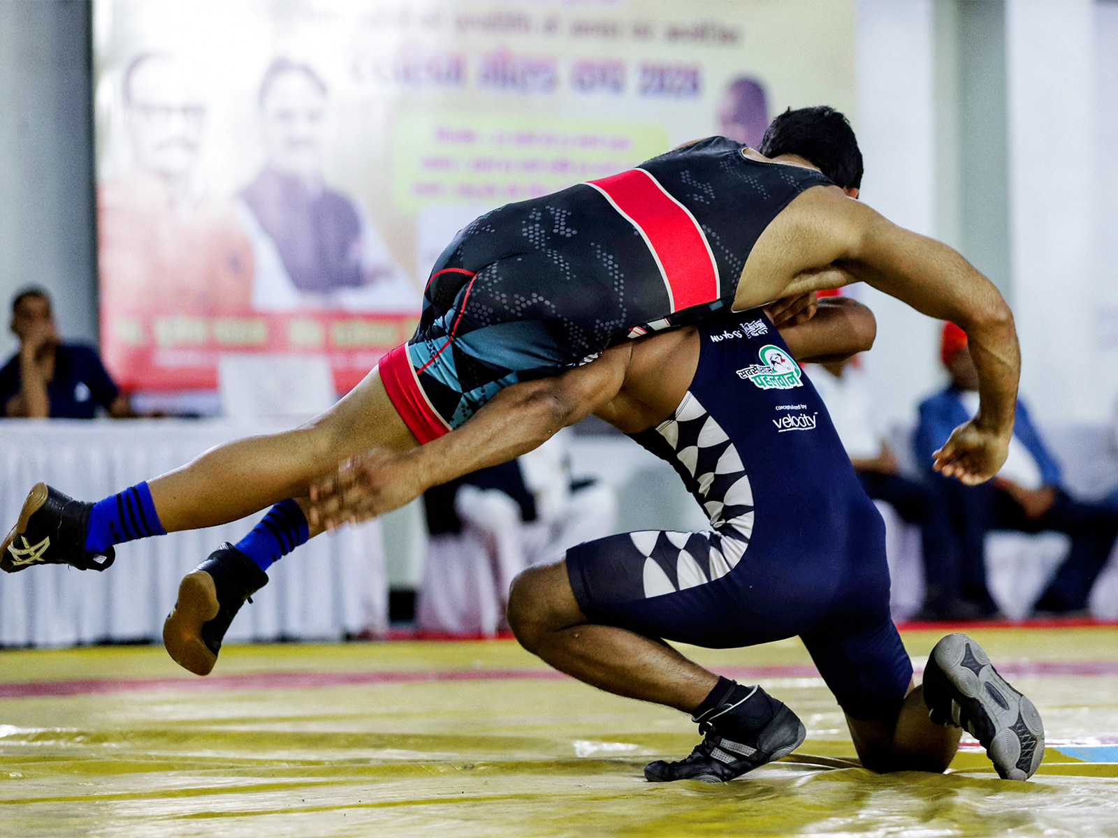 India finish Ulaanbaatar Open with eight gold medals