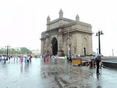 63-year-old dies after tree collapses on shop as incessant rain wreaks havoc in Mumbai