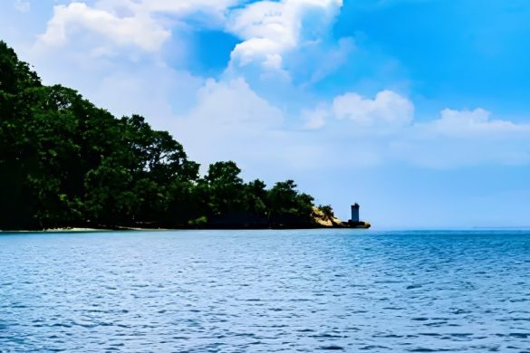 Andaman Tour Packages 2026–27: Booking Insights from Andaman TravelCare Show Growing Demand from Major Indian Cities