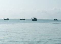 Gujarat: CM Bhupendra Patel removes 20-metre length restriction for fishing boat diesel VAT relief