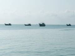 Gujarat: CM Bhupendra Patel removes 20-metre length restriction for fishing boat diesel VAT relief