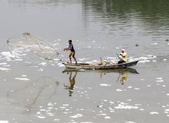DDA organises first stakeholder consultation workshop for 'Yamuna Dialogues' to promote green, clean Delhi