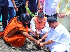 Uttarakhand CM Dhami plants sapling with Baba Ramdev at Dhanvantari Dham on Harela