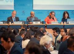 India reiterates commitment to rules-based multilateral trading system at WTO Trade Policy Review