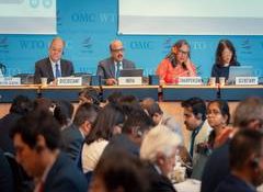 India reaffirms commitment to rules-based global trade at WTO Trade Policy Review