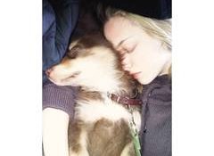Amanda Seyfried mourns death of beloved dog Finn at 16