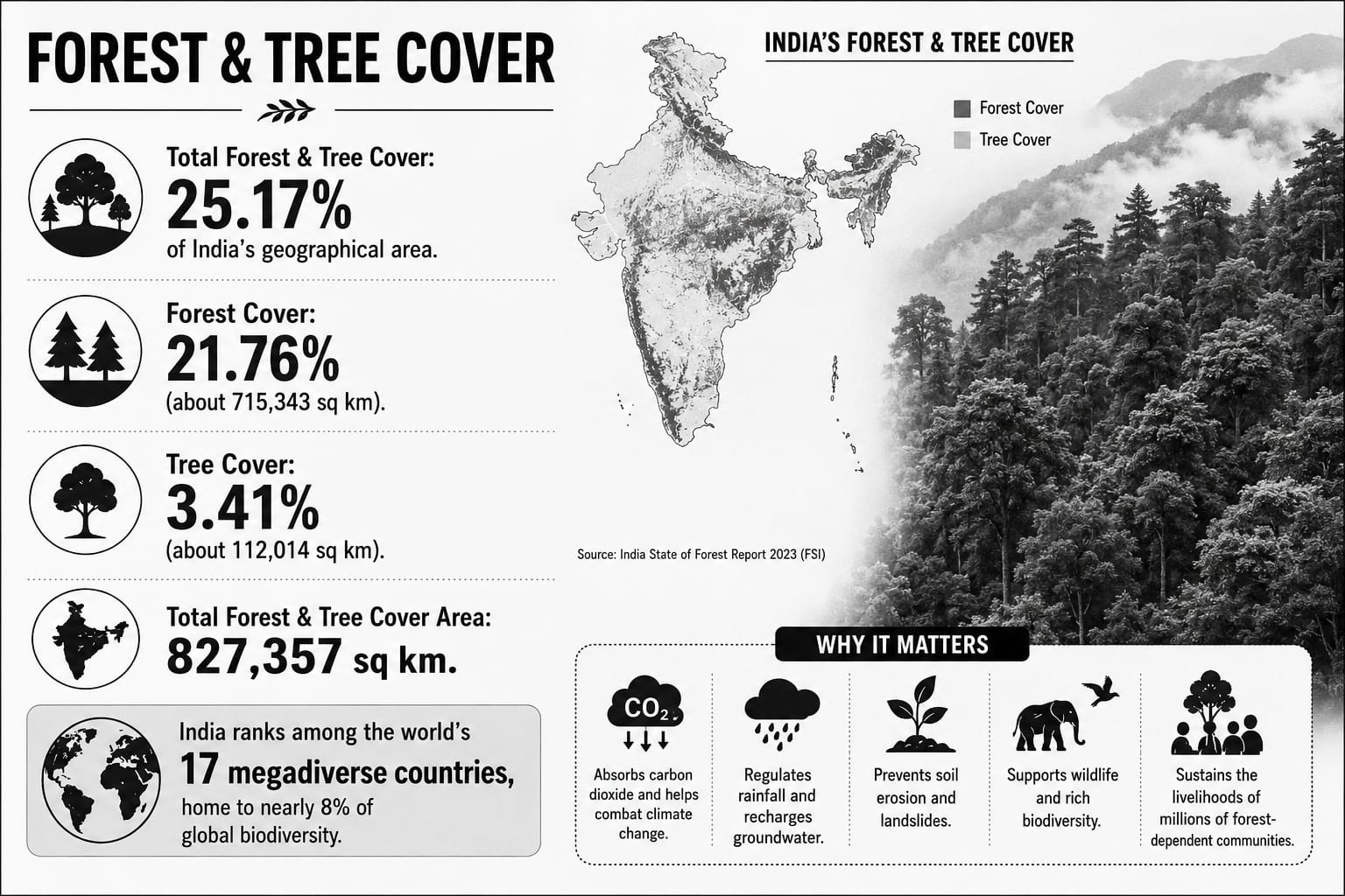From Chipko to Saat Mod: India’s enduring battle to save its forests