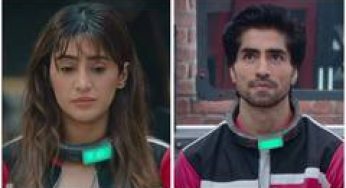 'Selfish' Shivangi? 'Manchild' Harshad? Fans divided after Lock Upp 2 finalist task