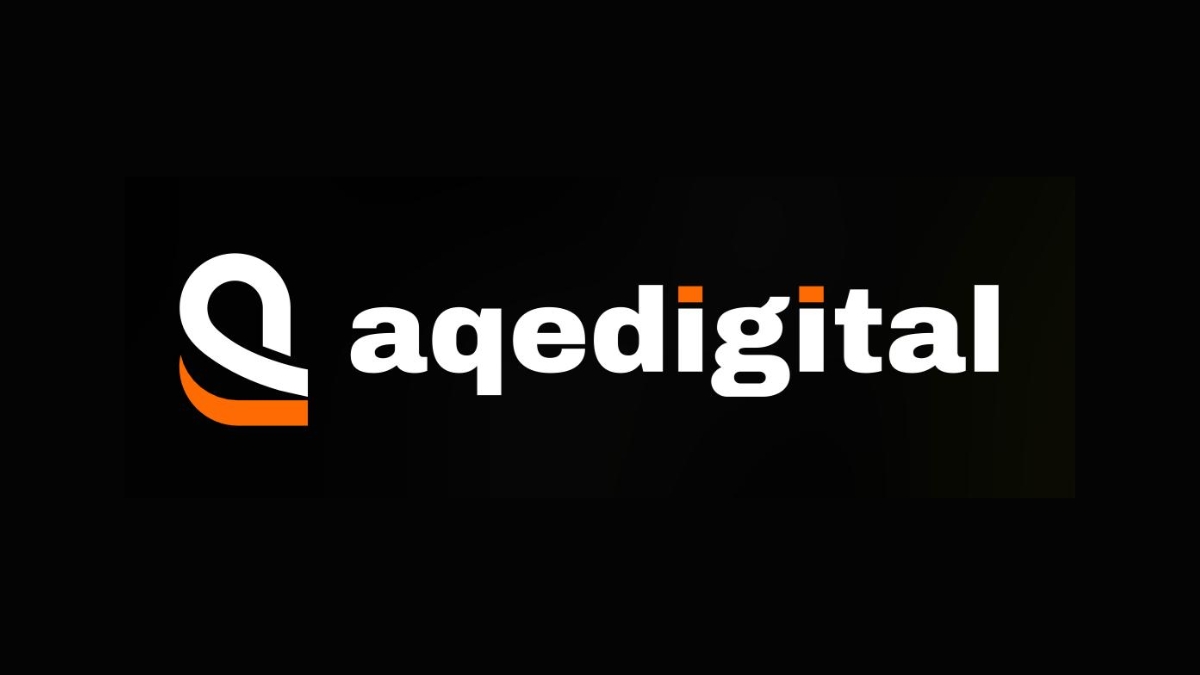 ACE Software Posts Earnings Turnaround; Standalone Profit Before Tax Up 43% YoY