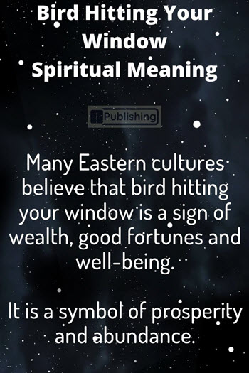 Bird Hitting Window Spiritual Meaning