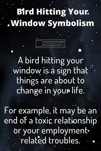 Bird Hitting Window Symbolism